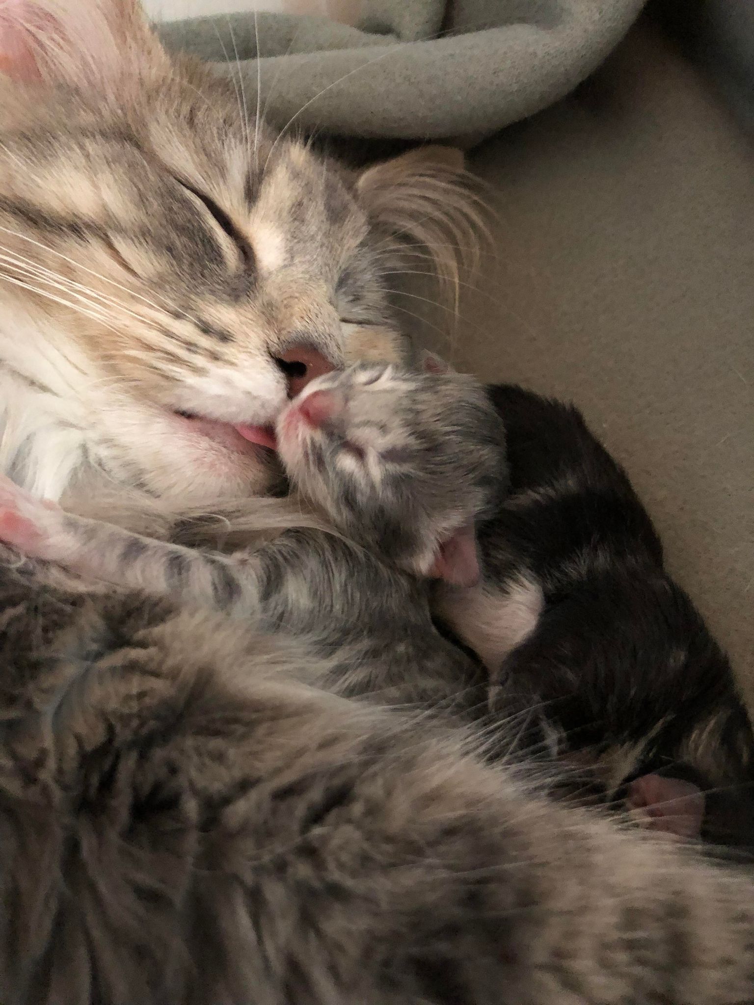 275649423_359453689421136_8333662045552842306_n